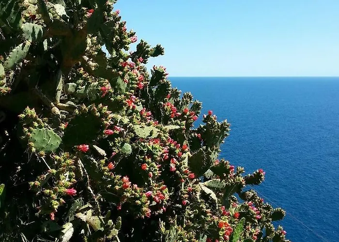 St. Leonard Ξενοδοχείο